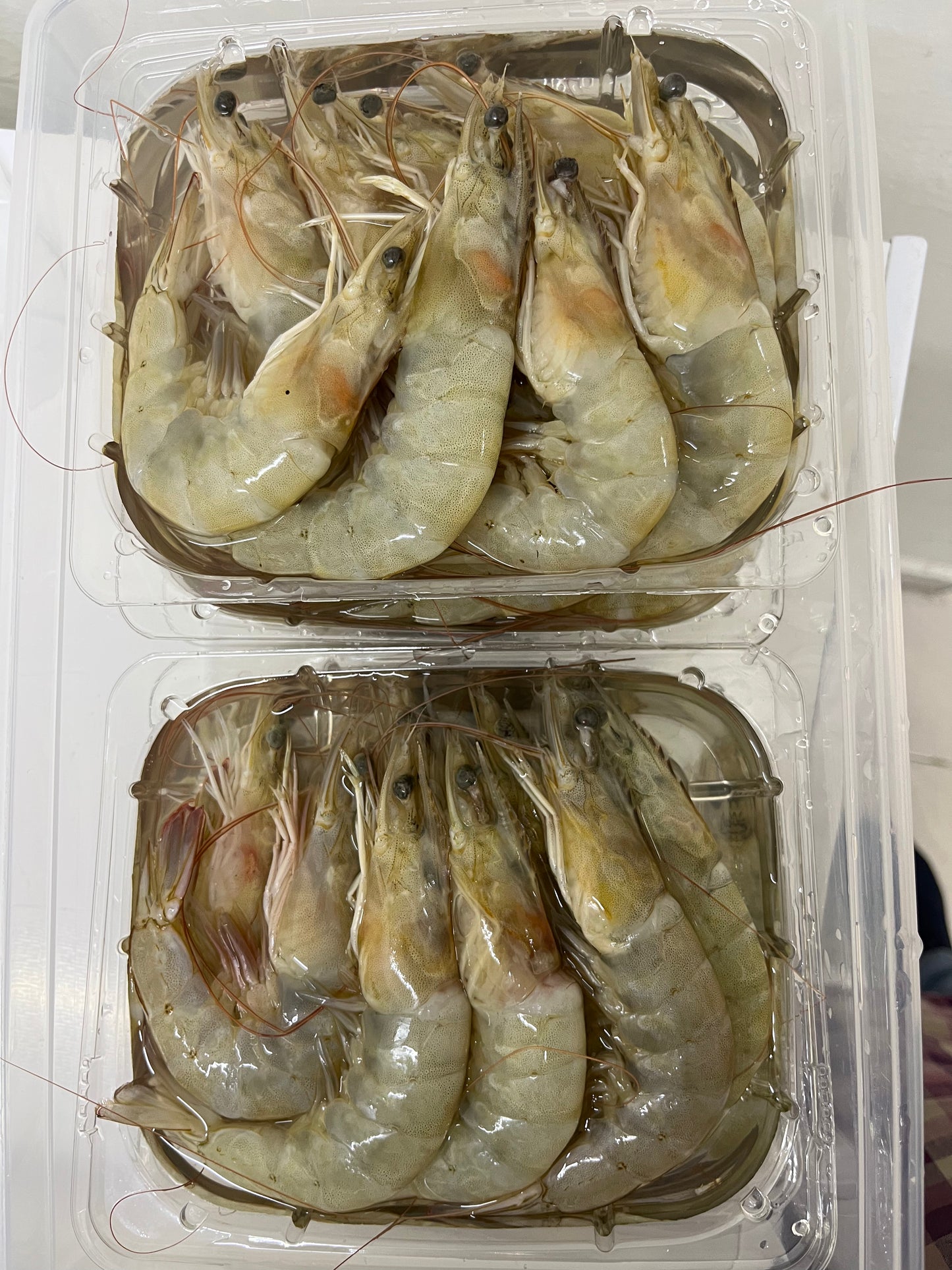 虾/鲜/大
