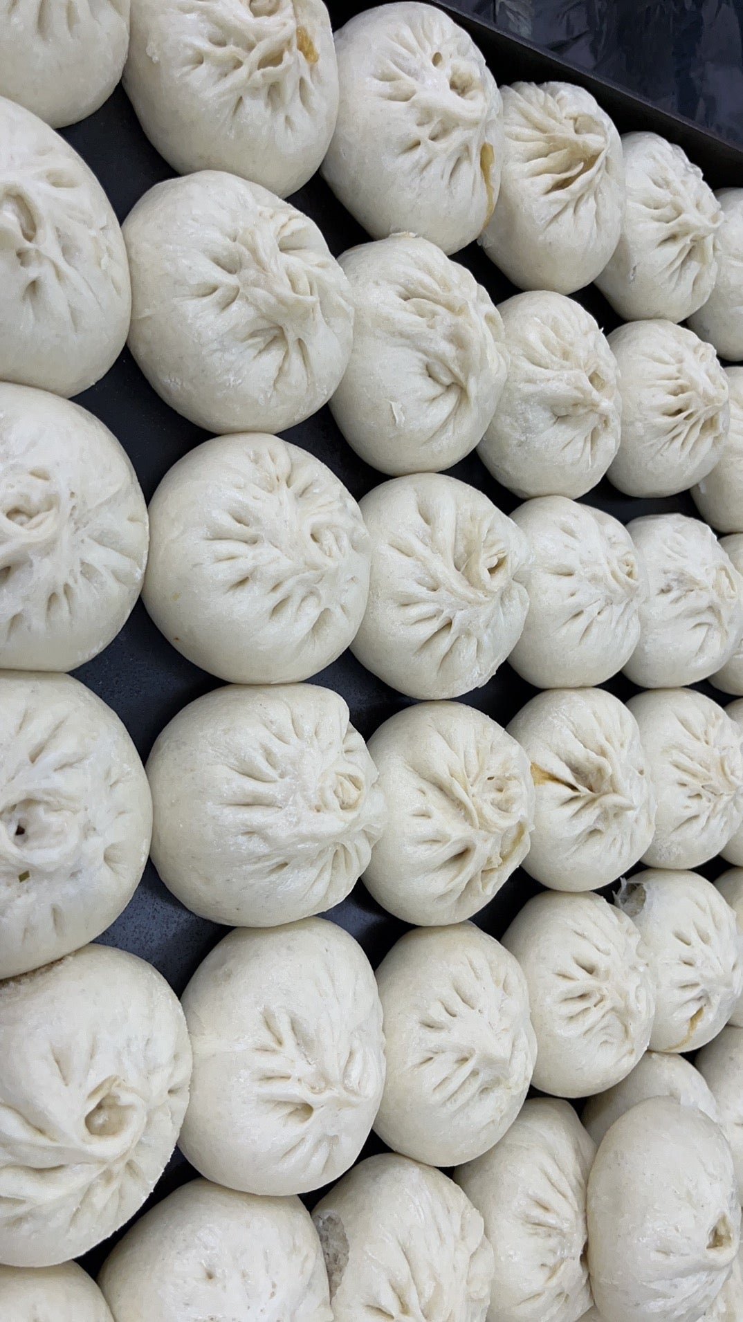 包子/韭菜/Pan de cebollin