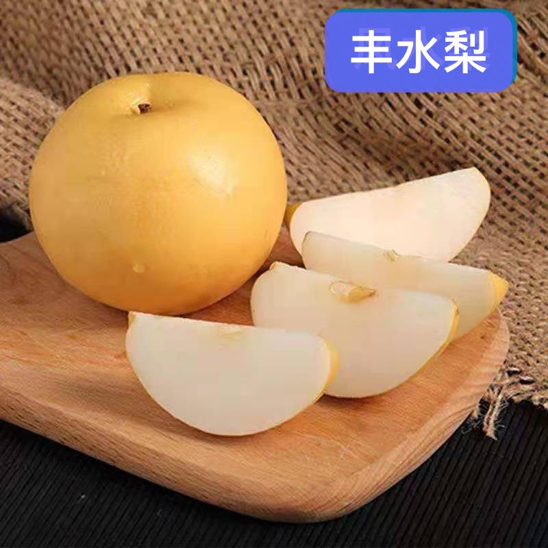 梨-丰水梨