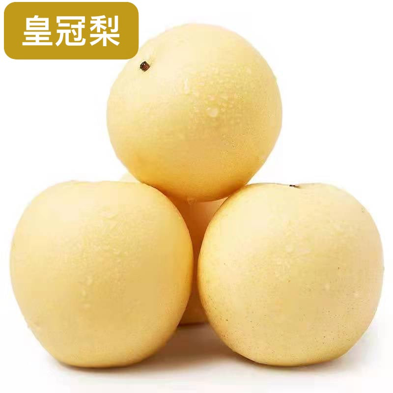 梨-皇冠梨