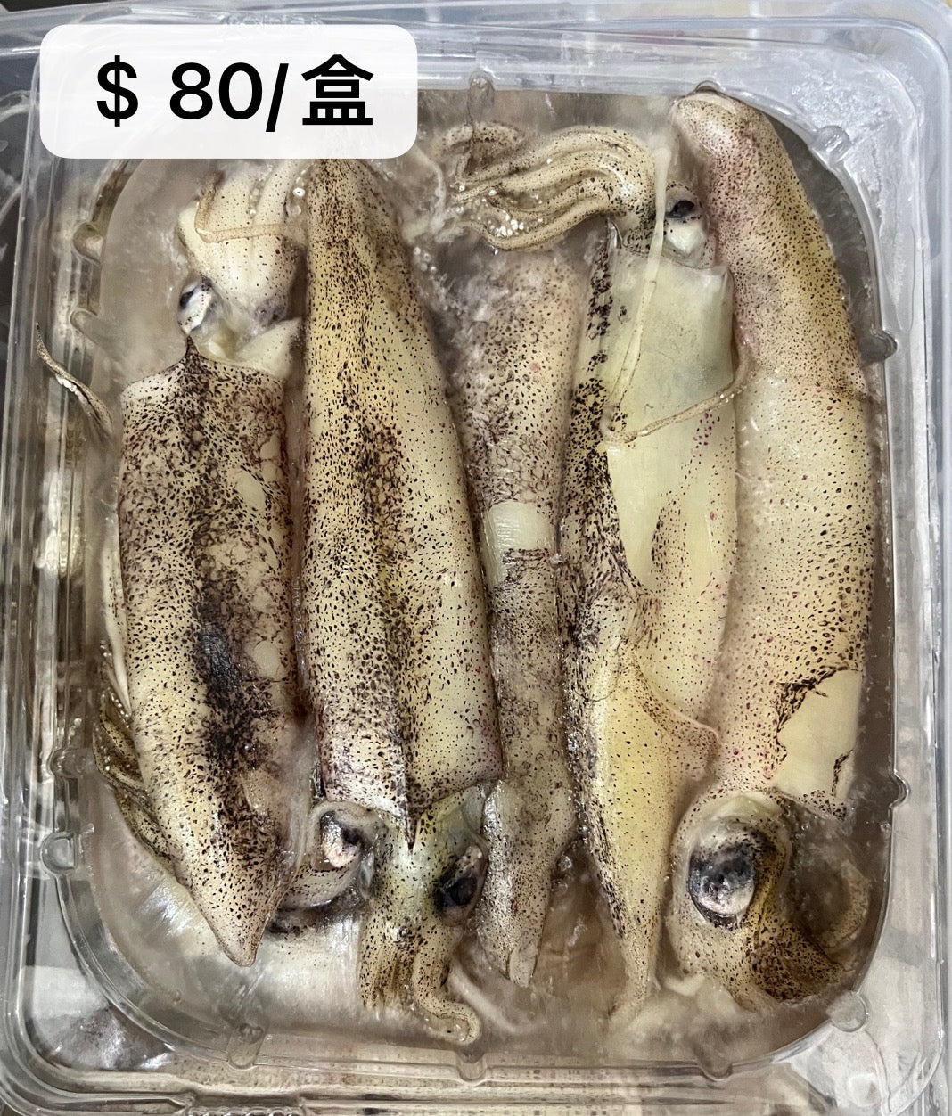 墨鱼仔