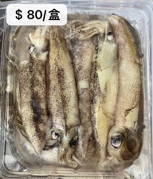 墨鱼仔